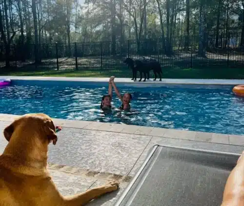 Services Residential Commercial